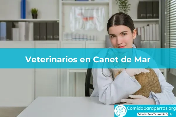 Veterinarios en Canet de Mar