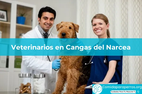 Veterinarios en Cangas del Narcea