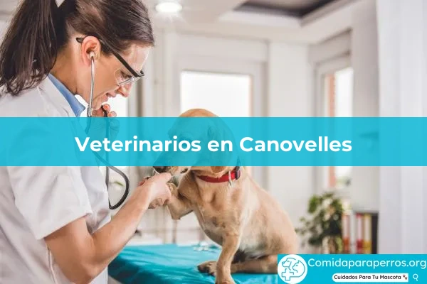 Veterinarios en Canovelles