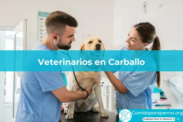 Veterinarios en Carballo