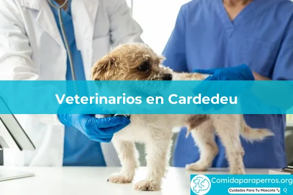 Veterinarios en Cardedeu