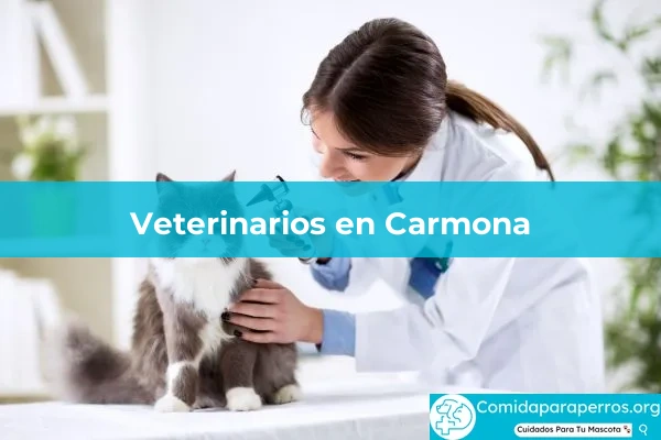 Veterinarios en Carmona