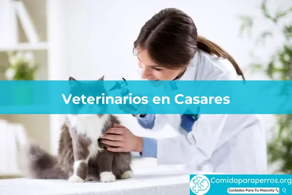 Veterinarios en Casares