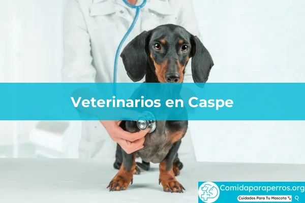 Veterinarios en Caspe