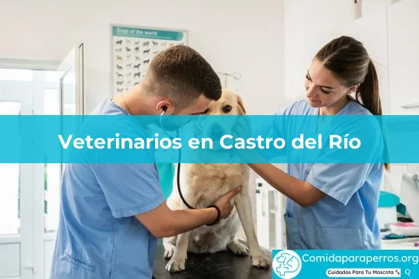 Veterinarios en Castro del Río