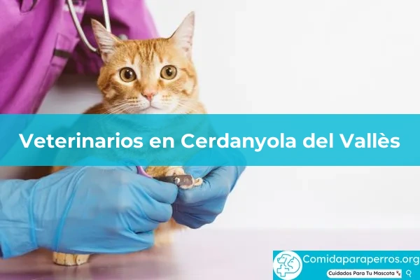 Veterinarios en Cerdanyola del Vallès