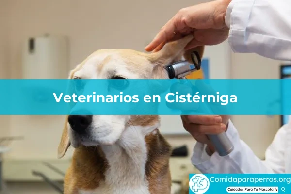 Veterinarios en Cistérniga