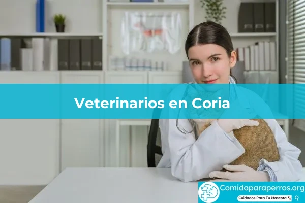 Veterinarios en Coria