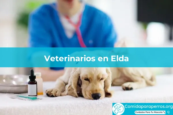 Veterinarios en Elda