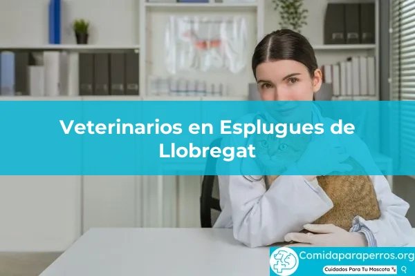 Veterinarios en Esplugues de Llobregat