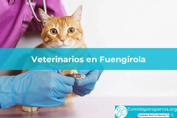 Veterinarios en Fuengirola