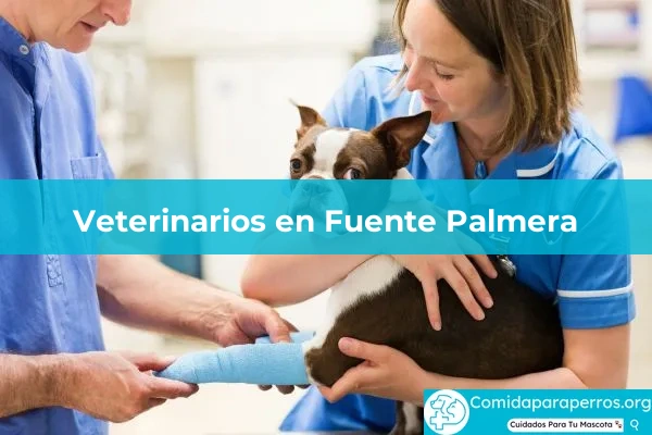 Veterinarios en Fuente Palmera