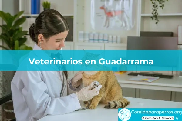 Veterinarios en Guadarrama