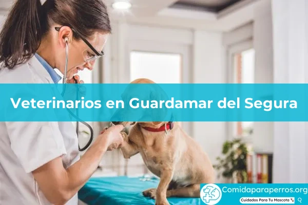 Veterinarios en Guardamar del Segura