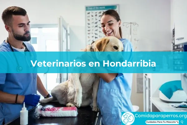 Veterinarios en Hondarribia