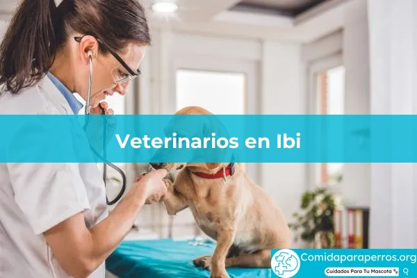 Veterinarios en Ibi