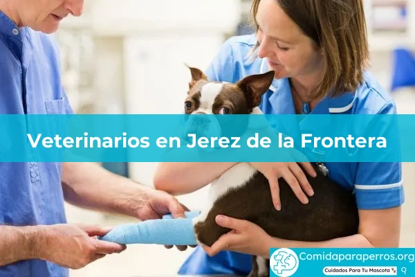 Veterinarios en Jerez de la Frontera