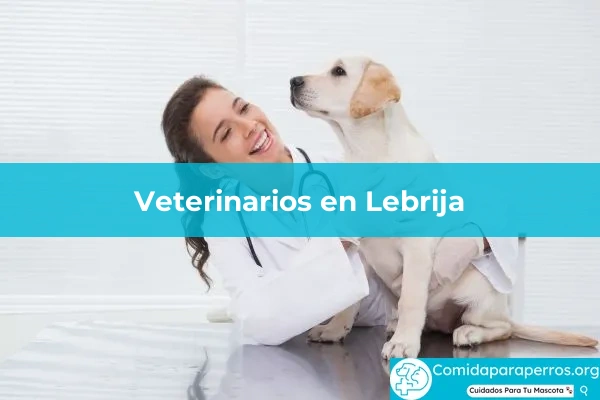 Veterinarios en Lebrija