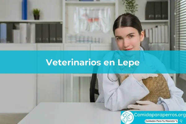 Veterinarios en Lepe