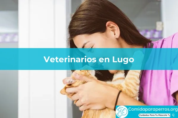 Veterinarios en Lugo