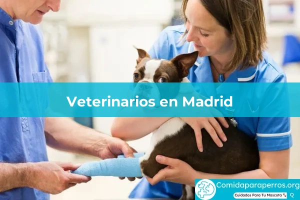 Veterinarios en Madrid