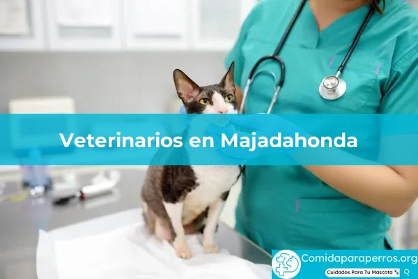 Veterinarios en Majadahonda