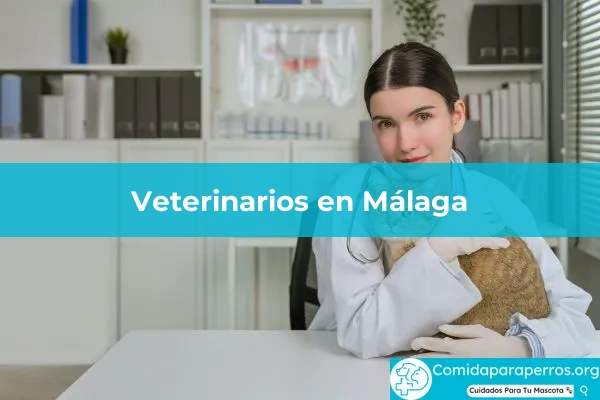 Veterinarios en Málaga