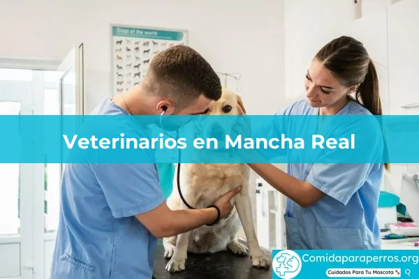 Veterinarios en Mancha Real