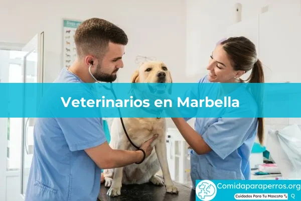 Veterinarios en Marbella