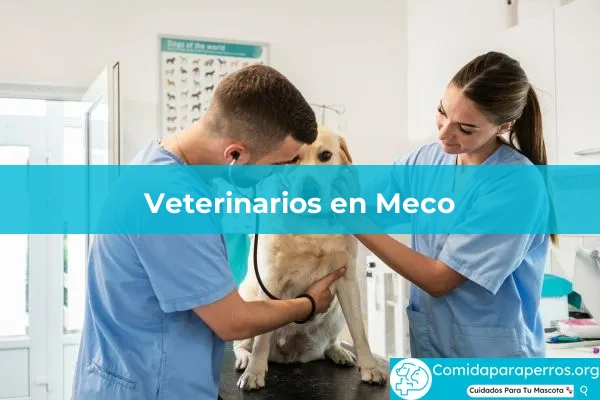 Veterinarios en Meco