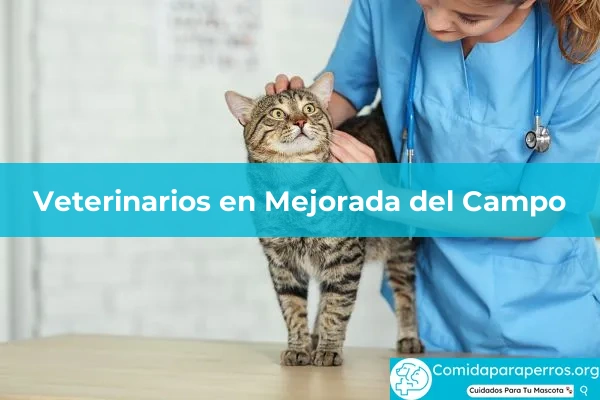 Veterinarios en Mejorada del Campo