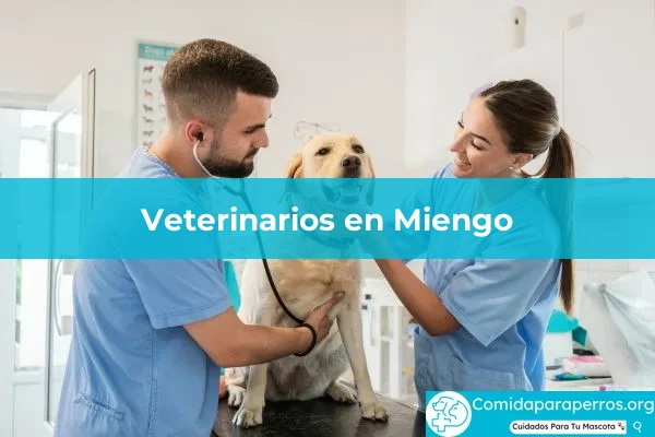 Veterinarios en Miengo