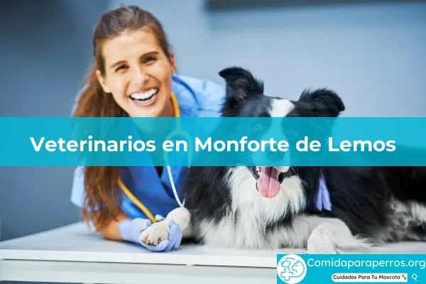 Veterinarios en Monforte de Lemos