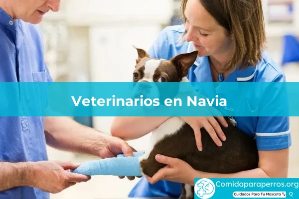 Veterinarios en Navia