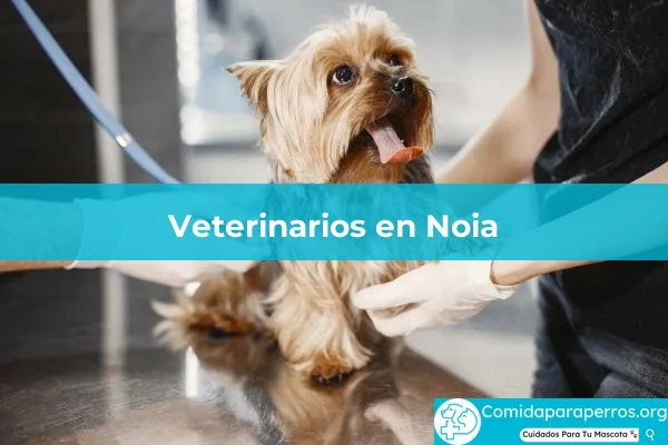 Veterinarios en Noia