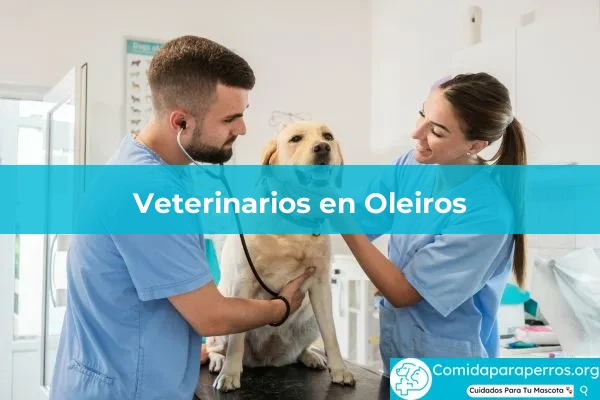 Veterinarios en Oleiros