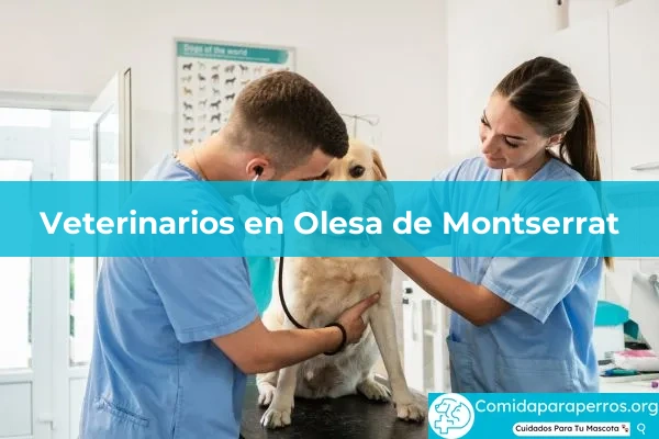 Veterinarios en Olesa de Montserrat