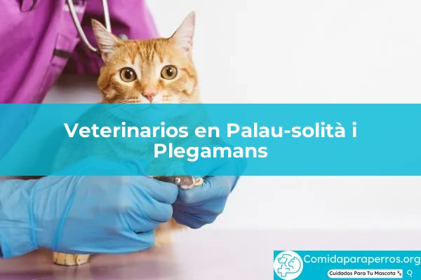 Veterinarios en Palau-solità i Plegamans