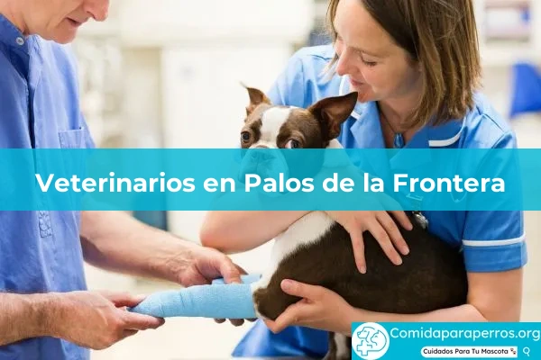 Veterinarios en Palos de la Frontera