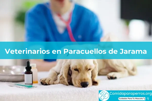 Veterinarios en Paracuellos de Jarama