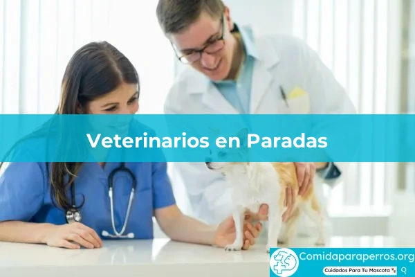 Veterinarios en Paradas