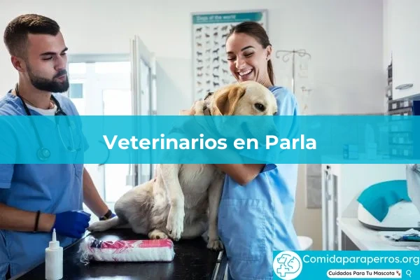 Veterinarios en Parla