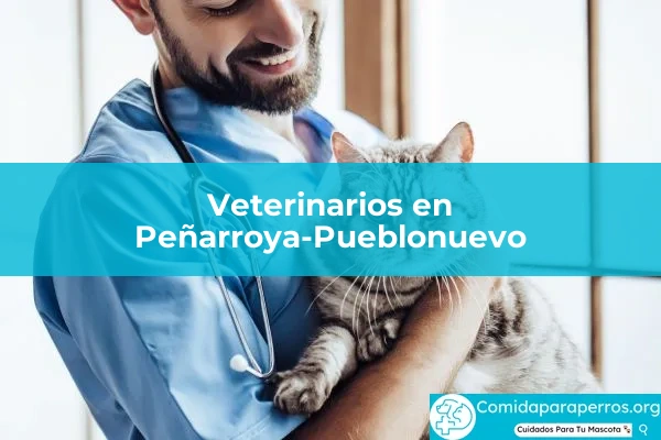 Veterinarios en Peñarroya-Pueblonuevo