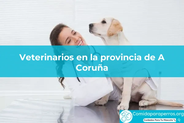 Veterinarios en provincia A Coruña