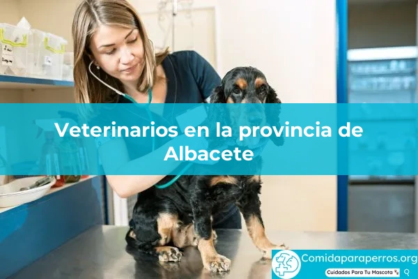 Veterinarios en provincia Albacete