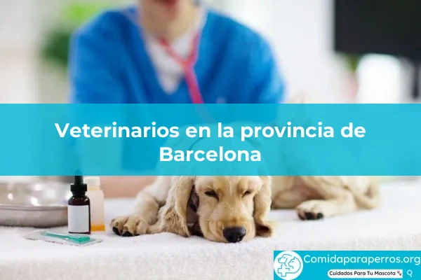 Veterinarios en provincia Barcelona