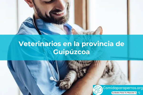 Veterinarios en provincia Guipúzcoa