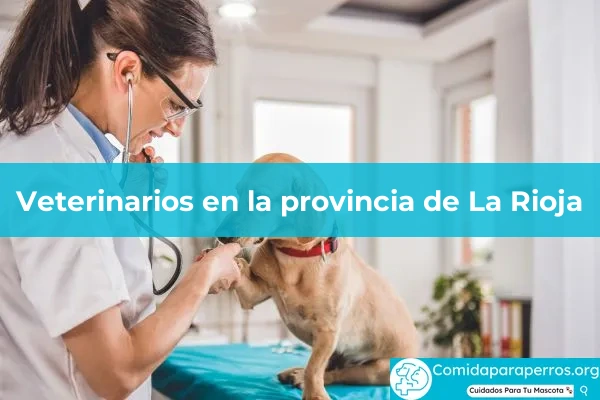 Veterinarios en provincia La Rioja