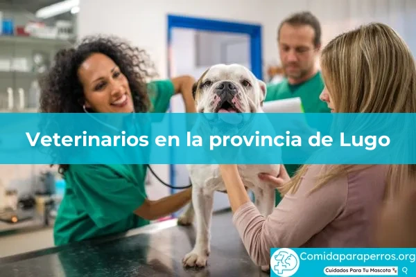 Veterinarios en provincia Lugo