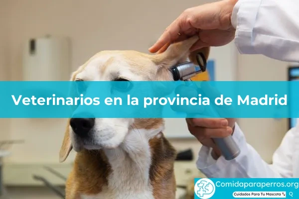 Veterinarios en provincia Madrid